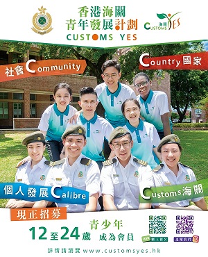 Customs YES海报