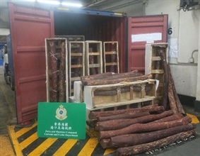 香港海关昨日（八月三日）在葵涌海关大楼验货场一个货柜内检获约二千八百三十公斤怀疑紫檀木材，估计市值约一百八十万元。