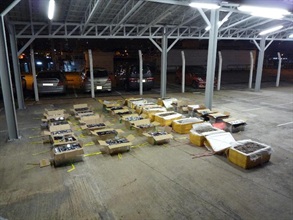 Customs and the Marine Police smashed a smuggling case in Sai Kung yesterday (June 26) and seized 34 cartons of goods including pangolin scales, bird's nest, computer hard disks and mobile phones with accessories.