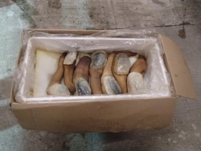 Geoduck seized in the anti-smuggling operation.