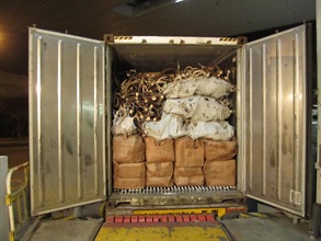 香港海关在一辆出境货柜车的冷冻货柜中发现一批未列舱单货物。