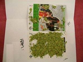 A total of 3.5 grams of cannabis buds seized from an inbound small packet at the Air Mail Centre on January 1, 2008.