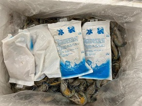 香港海关昨日（十一月二十六日）在香港国际机场检获约十二公斤怀疑液态冰毒，估计市值约一千万元。图示收藏手法。