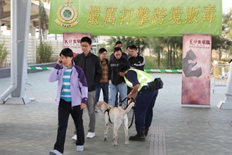 A Customs drug detector dog sniffs passengers for drugs during a demonstration.
