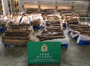 香港海关今日（五月五日）在葵涌海关大楼验货场的一个货柜内检获约一千四百一十五公斤怀疑檀香紫檀木材，估计市值约一百万元。