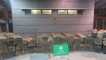 香港海关在五月期间检查一批货柜时，共检获约七万四千四百公斤怀疑受管制古夷苏木木材，估计市值约六十万元。