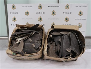 香港海关昨日（八月二十三日）在香港国际机场检获约一百八十公斤怀疑受管制干鱼翅及五百克怀疑受管制干海马，估计市值约五万元。图示部分检获的怀疑受管制干鱼翅。