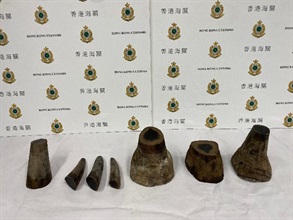 Hong Kong Customs today (October 19) seized about 16 kilograms of suspected rhino horns with an estimated market value of about $3.2 million at Hong Kong International Airport.
