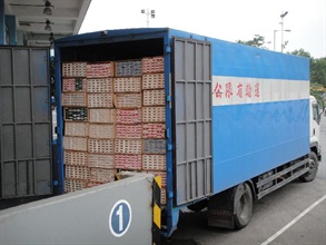 香港海关今日（十月十五日）在一辆入境货车上缉获价值约四百五十万元的未完税香烟。