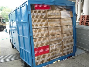 海关在一部跨境货车检获１５７箱合共约１６０万支未完税香烟。