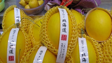 香港海关昨日（一月二十四日）在三间位于旺角及深水埗的水果零售商检获六十八个怀疑附有虚假产地的蜜瓜，估计市值约1,775元。图示部分检获的蜜瓜。