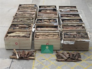 Hong Kong Customs stepped up enforcement to combat cross-boundary smuggling activities before and during the Lunar New Year holiday. Photo shows the suspected Dalbergia species wood logs seized.