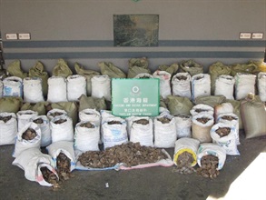 About 1 000 kilograms of pangolin scales were seized by Hong Kong Customs today (May 28).