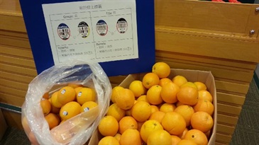 Some of the suspected counterfeit oranges seized.