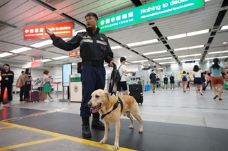 香港海关于暑假期间在各边境管制站加强执法。