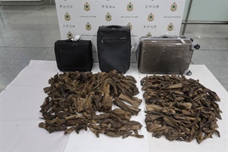 香港海关今日（八月十六日）在香港国际机场检获约四十一点八公斤怀疑沉香木，估计市值约六十七万元。
