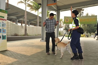 海關搜查犬示範嗅查旅客，發現其身上藏有毒品。