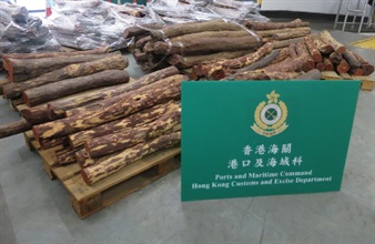 The suspected wood logs seized by Customs.