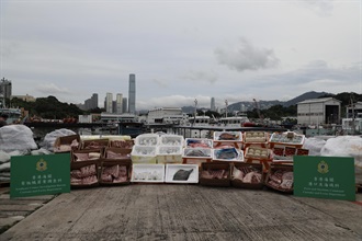 香港海关昨晚（七月五日）在香港南面水域进行反走私行动，侦破一宗涉嫌利用货船走私的案件，检获一批食品和怀疑受管制活珊瑚，估计市值约一百五十万元。图示检获的怀疑走私货物。