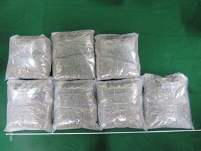 香港海关昨日（七月七日）在沙田检获约七公斤怀疑大麻花，估计市值约一百三十万元。图示检获的怀疑大麻花。