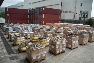 Hong Kong Customs mounted a special enforcement operation codenamed "Clear Sky" from mid-April to mid-May and detected a smuggling case involving a river trade vessel and two smuggling cases involving ocean-going vessels. A large batch of suspected smuggled goods, including suspected scheduled dried shark fins, suspected controlled medicines and used electronic products, with a total estimated market value of about $200 million was seized. Photo shows some of the suspected smuggled goods seized.
