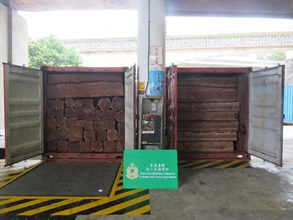 Hong Kong Customs seized about 211 tonnes of suspected scheduled wood logs of an endangered species with an estimated market value of about $1.1 million from seven containers at the Kwai Chung Customhouse Cargo Examination Compound and the Tsing Yi Customs Cargo Examination Compound between April 29 and today (May 5). This is the largest seizure of scheduled wood logs made by Customs over the past five years. Photo shows some of the suspected scheduled wood logs of the endangered species seized.