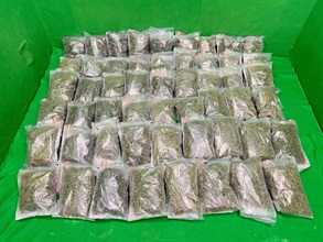 Hong Kong Customs yesterday (August 19) detected two dangerous drugs trafficking cases involving internal concealment and baggage concealment respectively at Hong Kong International Airport. About 1.3 kilograms of suspected cocaine and 16.5 kilograms of suspected cannabis buds were seized with an estimated market value of about $5 million. Photo shows the suspected cannabis buds seized.
