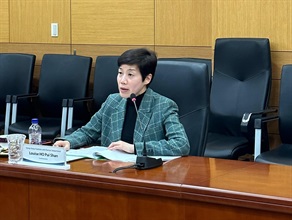 海关关长何珮珊今日（十一月一日）率领香港海关代表团到访韩国关税厅，与韩国关税厅厅长高光孝会面。图示何珮珊在会上发言。