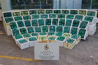 Hong Kong Customs and the Centre for Food Safety of the Food and Environmental Hygiene Department mounted a joint operation at the Man Kam To Control Point on October 31 and seized about 3.4 tonnes of suspected smuggled hairy crabs with an estimated market value of about $2.3 million. Photo shows the suspected smuggled hairy crabs seized.