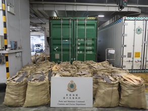 Hong Kong Customs yesterday (February 15) seized about 1 200 kilograms of suspected scheduled dried shark fins, with an estimated market value of about $3.3 million, at the Kwai Chung Customhouse Cargo Examination Compound. Photo shows the suspected scheduled dried shark fins seized.