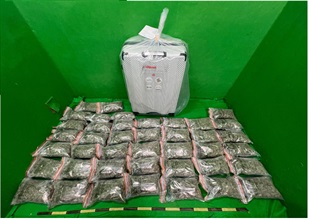 香港海關昨日（三月十日）在香港國際機場破獲一宗旅客販運危險藥物的案件，檢獲約十點二五公斤懷疑大麻花，估計市值約二百萬元。圖示檢獲的懷疑大麻花及用作收藏毒品的行李箱。