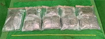香港海關昨日（四月十五日）在香港國際機場偵破兩宗行李藏毒的販毒案件，檢獲共約十七公斤懷疑大麻花，估計市值共約三百八十萬元，並拘捕兩名男子。圖示第一宗案件中檢獲重約八公斤的懷疑大麻花。