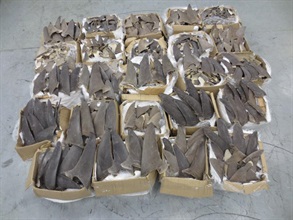 Hong Kong Customs yesterday (January 7) seized over 1 tonne of suspected scheduled dried shark fins of endangered species with an estimated market value of about $750,000 at Hong Kong International Airport. Photo shows the suspected scheduled dried shark fins seized.