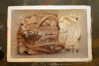 香港海关六月四日在香港国际机场检获约一百六十公斤怀疑受管制石首鱼鱼肚，估计市值约二千五百万元，以重量及价值计算，均打破以往同类检获石首鱼鱼肚单一案件的纪录，亦超越过往海关有纪录以来检获量的总和。今次为海关首次检获鲜石首鱼鱼肚，过去所检获的均为干石首鱼鱼肚。图示部分在发泡胶箱内检获与冰鲜鱼柳混杂一起的怀疑受管制石首鱼鱼肚。