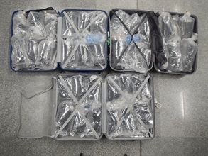 The suspected European eels discovered by Customs officers in the arrestees' checked-in baggage.