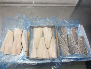 香港海关昨日（七月八日）在香港国际机场检获约二百二十公斤怀疑非法进口犬牙鱼产，估计市值约十二万元。这是《南极海洋生物资源养护条例》及其附属法例由今年七月一日起生效后，海关首次检获怀疑非法进口的犬牙鱼产。图示部分检获的怀疑非法进口的犬牙鱼产。