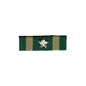 Ribbon of Hong Kong Customs and Excise Long Service Medal (25 years)