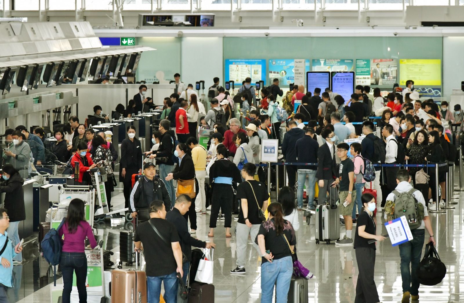 WhatsApp Image 2023-08-23 at 17.48.17.jpeg