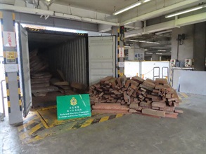 Hong Kong Customs detected three smuggling cases involving scheduled wood logs at the Kwai Chung Customhouse Cargo Examination Compound between June 30 and July 16. A total of about 142 tonnes of suspected scheduled wood logs of endangered species, with an estimated market value of about $1.2 million in total, were seized. Photo shows some of the suspected scheduled wood logs of endangered species seized.