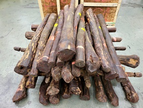 Hong Kong Customs seized a total of about 4 120 kilograms of suspected scheduled red sandalwood, with an estimated market value of about $20.7 million, at Hong Kong International Airport yesterday (January 6) and today (January 7). Photo shows some of the suspected scheduled red sandalwood seized.
