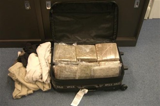 海關在機場檢獲大麻草。<br />海關人員今日（三月一日）在香港國際機場截查一名30歲由南非約翰內斯堡抵港的南非女子，並在她的行李內檢獲20塊大麻草, 共重20公斤。2