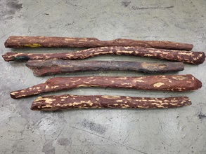 Hong Kong Customs yesterday (December 30) seized about 2 570 kilograms of suspected scheduled red sandalwood, with an estimated market value of about $12.9 million, at Hong Kong International Airport. Photo shows some of the suspected scheduled red sandalwood seized.