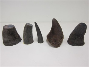 The suspected rhino horns seized by Customs.