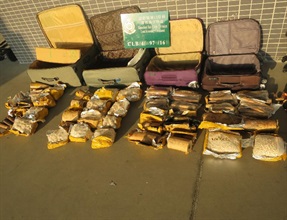 The suspected ivory seized by Customs.