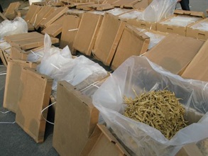 Customs officers yesterday (February 19) uncovered about 3,100 kg unmanifested American ginseng with the assistance of the X-ray Vehicle Scanning System.
