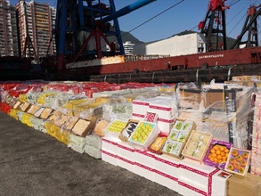 Hong Kong Customs detected a suspected smuggling case using cargo vessel, barges and tugboats off Lung Kwu Chau on October 15. Preliminary figures show that about 240 tonnes of suspected smuggled frozen meat and 600 cartons of fruit with a total estimated market value of about $20 million were seized. Picture shows the frozen meat and fruit seized.