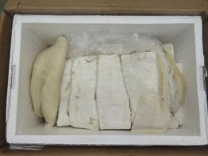 Hong Kong Customs seized about 114 kilograms of suspected scheduled fresh totoaba fish maws with an estimated market value of about $18 million at the Hong Kong International Airport on October 27. Picture shows suspected scheduled fresh totoaba fish maws seized.