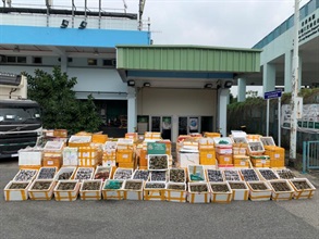 Hong Kong Customs and the Food and Environmental Hygiene Department seized a total of about 7 700 suspected smuggled hairy crabs and about 7.7 tonnes of suspected smuggled frozen food with a total estimated market value of about $1.2 million in a joint operation at Man Kam To Control Point on October 29. The hairy crab seizure is the biggest haul of its type in terms of both quantity and weight.