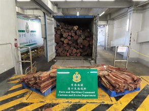 Hong Kong Customs detected three smuggling cases involving scheduled wood logs at the Kwai Chung Customhouse Cargo Examination Compound between October 21 and today (November 9). A total of about 34 tonnes of suspected scheduled wood logs of endangered species, with an estimated market value of about $1.1 million in total, were seized. Photo shows the suspected scheduled wood logs of endangered species seized in the second case.