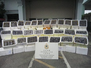 Hong Kong Customs seized about 13 000 suspected smuggled hairy crabs and about 3 tonnes of suspected smuggled goods with a total estimated market value of about $1.2 million at Man Kam To Control Point on November 13. While breaking the record of 7 700 suspected smuggled hairy crabs made on October 29, the hairy crab seizure in this case has become the biggest haul of its type in terms of both quantity and weight. Photo shows the suspected smuggled hairy crabs seized.